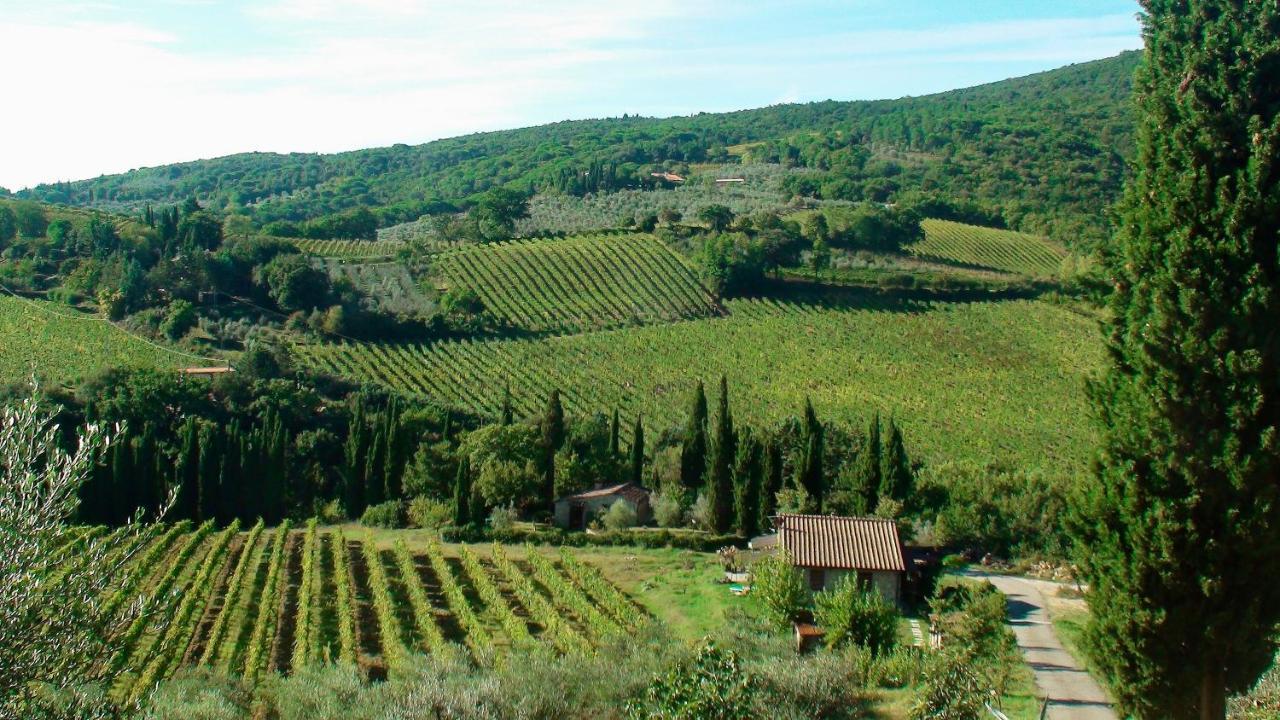 Podere Montese Country House San Gimignano Dış mekan fotoğraf