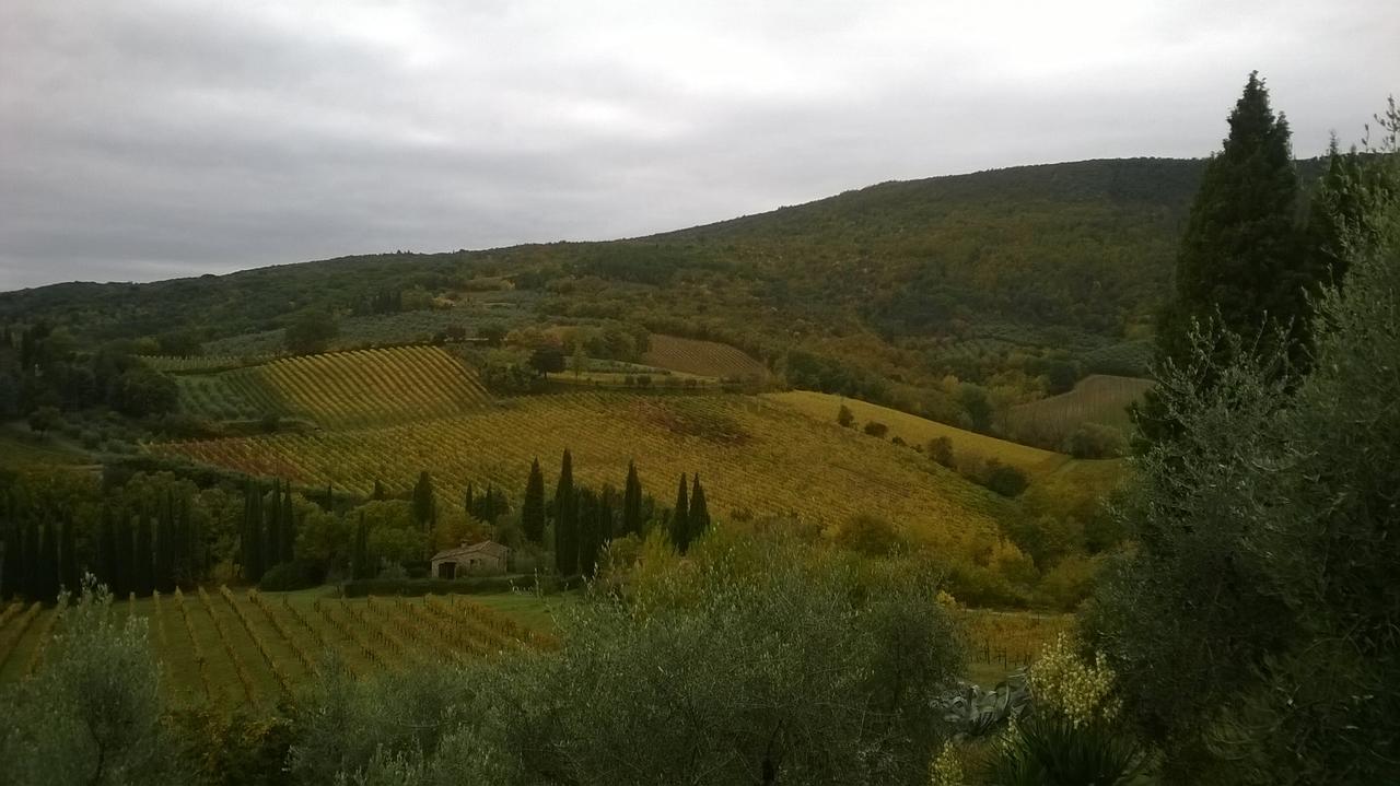 Podere Montese Country House San Gimignano Dış mekan fotoğraf