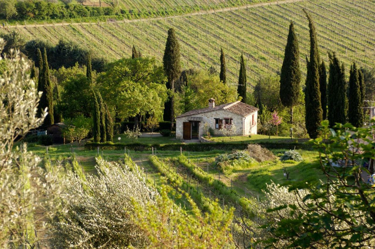 Podere Montese Country House San Gimignano Dış mekan fotoğraf